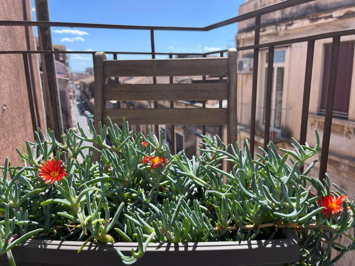 Mita Apartments Catania Kültér fotó